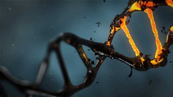 Ученые создали искусственный интеллект для предсказания развития мутаций у человека