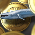 Мнение: «киты» зарабатывают благодаря мелким держателям биткоина