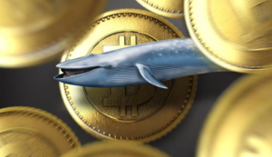 Мнение: «киты» зарабатывают благодаря мелким держателям биткоина