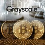Grayscale Investments купили еще 2 172 BTC