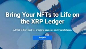 Ripple выделили $250 млн. в фонд для авторов NFT