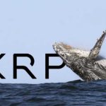 Число токенов XRP сосредоточенных в руках криптокитов бьет рекорды