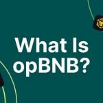 Запущена основная сеть opBNB